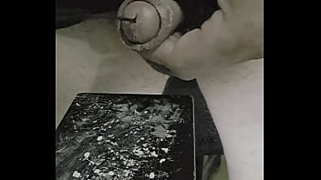 Ezsosa update #31 1000016179 apr 11 2025