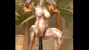 Solo lizard time first animation