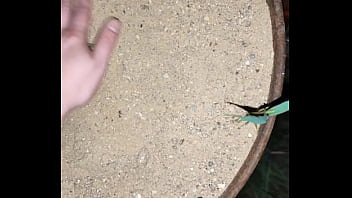 Chastity key burried away