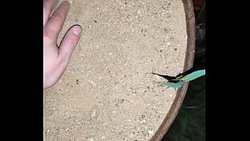 Chastity key burried away