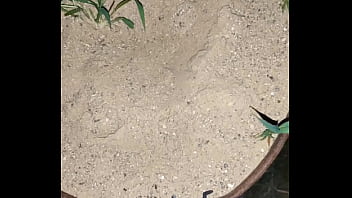 Chastity Key Burried Away thumbnail