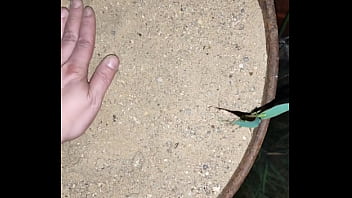 Chastity key burried away