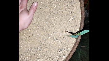 Chastity key burried away