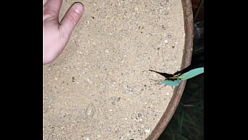 Chastity key burried away