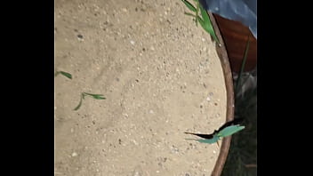 Chastity key burried away