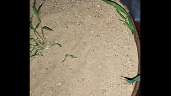 Chastity key burried away