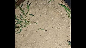 Chastity key burried away