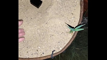 Chastity key burried away