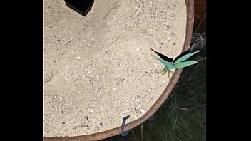 Chastity key burried away