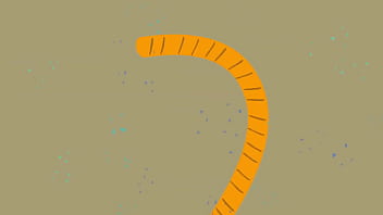 A rope fall inlove with sherrie