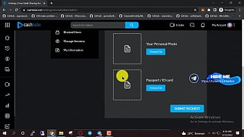 Make your own porn site