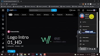 Make your own porn site