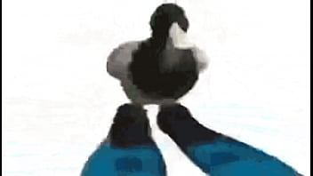 Diamantes ft sancelestial