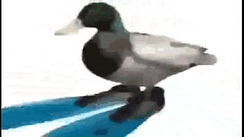 Diamantes ft sancelestial