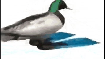 Diamantes ft sancelestial