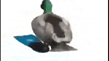 Diamantes ft sancelestial