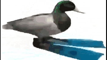 Diamantes Ft Sancelestial thumbnail