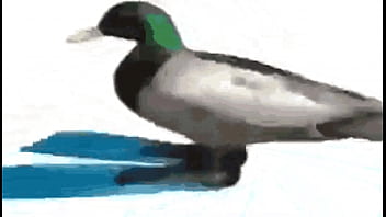 Diamantes ft sancelestial