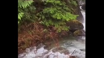 Living In The Backwoods Is Worth It This Is The Kinds Of Things I See On The Side Of The Road thumbnail