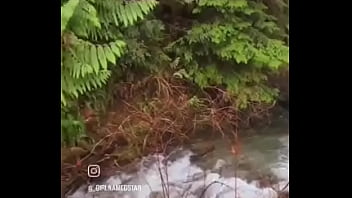 Living in the backwoods is worth it this is the kinds of things i see on the side of the road