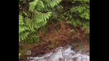 Living in the backwoods is worth it this is the kinds of things i see on the side of the road