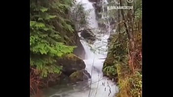 Living in the backwoods is worth it this is the kinds of things i see on the side of the road