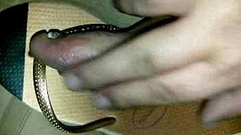 Brincando com as havaianas