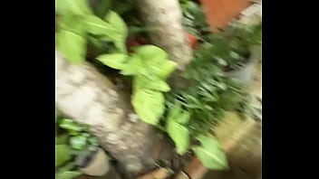 Not a crazy cat lady triying to make cat friends here d