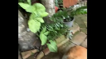 Not a crazy cat lady triying to make cat friends here d