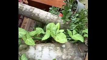 Not a crazy cat lady triying to make cat friends here d