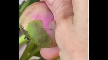 Эротика с цветами