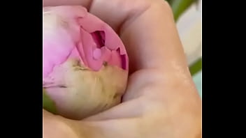 Эротика с цветами