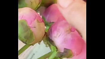 Эротика с цветами