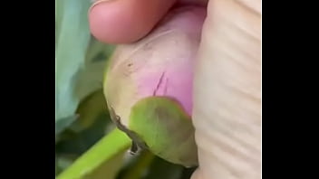 Эротика с цветами