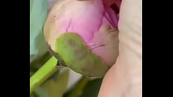 Эротика с цветами