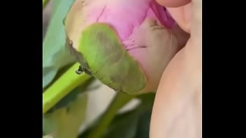 Эротика с цветами