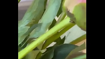 Эротика с цветами