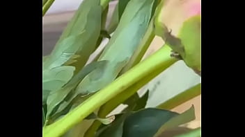 Эротика с цветами