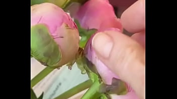 Эротика с цветами