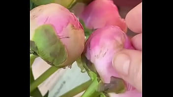 Эротика с цветами