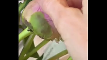 Эротика с цветами