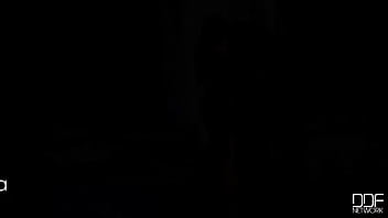 Feasting on their foxy treats