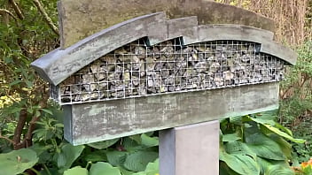 Edenism originator bill freeland