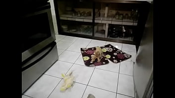 Funny sexy blonde got two cocks