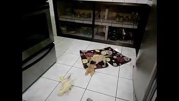 Funny sexy blonde got two cocks