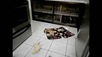 Funny sexy blonde got two cocks