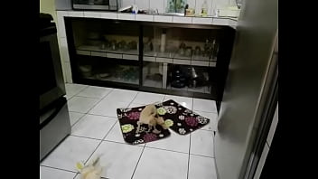 Funny sexy blonde got two cocks