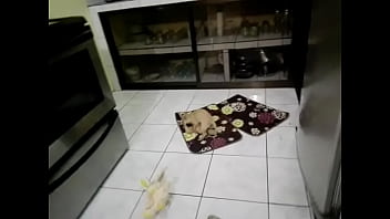 Funny sexy blonde got two cocks