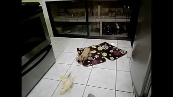 Funny sexy blonde got two cocks