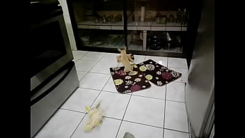 Funny sexy blonde got two cocks